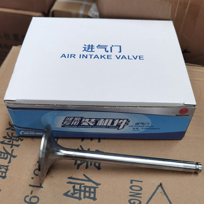 Sinotruk Howo Truck Spare Parts Intake Valve 612600050073