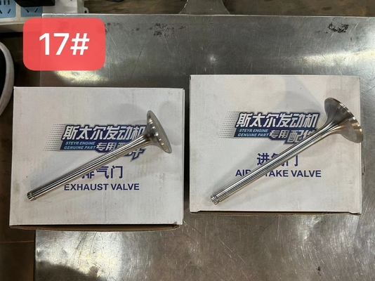 612600050025 Air Exhaust Valve Weichai WP10 Diesel Engine Parts