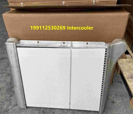 199112530269 Shacman Truck Parts Intercooler Assembly Shacman F3000 Truck Parts